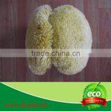 One/ Double Side Wool Buffing Pad