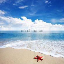 Hot Sales 3d Wall Paper and Tile Floor Tile Ceramic