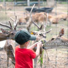 gettyimages-1268629983-2048x2048