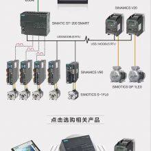 S7-200 SMART CPU SR30 Standard CPU Module Relay Output 6ES72881SR300AA0/1 thumbnail-3