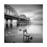 3D Framed Picture of Black and White Color European Style