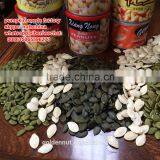PUMPKIN SEEDS FOR IRAN UAE SAUDI ARABIA JORDAN RUSSIA 11cmup 13 cm up 11mm up 13 mm up thumbnail-5