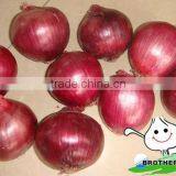 Red Onion, Supplier China Red Onion, Lowest Price Red Onion thumbnail-1