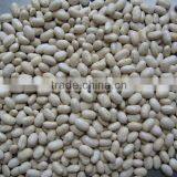2013 New Crop Japanese White Kidney Beans thumbnail-1