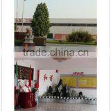 Cyberflow-S Headbox From Italy Technogoly