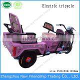 Folding Electric 800w Adult Electric Tricycle With Passenger Seat thumbnail-6