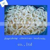 IQF Best Quality Frozen Squid Ring