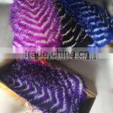 ZPDECOR Factory Wholesale Large Size From 28 to 30inch Striped Ostrich Feathers for Morelos Carnival thumbnail-3