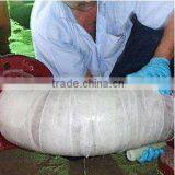 Pipe Leaking Repair Bandage,Water Activitied Emergency Pipe Repair Armored Cast Tape thumbnail-4
