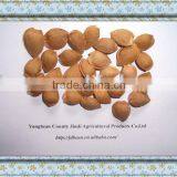 USED EXCLUSIVELY HPS Bitter Apricot Kernels(GF1) thumbnail-1