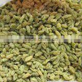 Sweet Green Raisin thumbnail-2