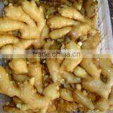 Fresh Washed Ginger thumbnail-4