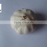 Dehydrated vegetable air dried white garlic