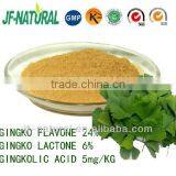 Ginkgo Leaf Extract High Content Flavone thumbnail-1