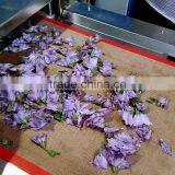 Microwave Flower Dryer and Sterilization Equipment thumbnail-3