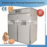 RD-3168 Newest design chicken incubator |egg incubator | mini incubator