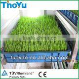 THOYU Brand Salable Germinator With Best Price(Mob:+86-15903675071) thumbnail-1
