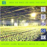 Multi-Span Commercial Fiberglass Greenhouses thumbnail-2