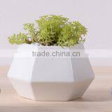 New Deign Small Hexagon Matte Porcelain Indoor Decorative Pots Planters thumbnail-3