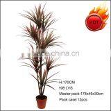 Hot Sale Artificial Reddish Dracaena Tree thumbnail-1