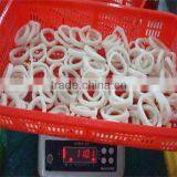 Deep Sea Quailty Frozen Squid Ring thumbnail-1
