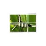 Galvanized Barbed Wire