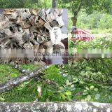 Manufacturer and Trader Wood Chip Type Oud Wood Chips or Gaharu Chips All Over the World thumbnail-1