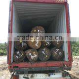 Suriname ROK / Rode Kabbes Log thumbnail-3