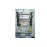 Telescopic Ladder thumbnail-1