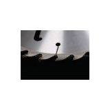 OEM Japanese Steel Bamboo Cutting Gang Rip Circular Saw Blade With Wiper 305mm thumbnail-1