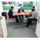 High Quality Chinese Striped Sunflower Seeds 601 thumbnail-3