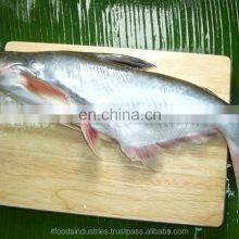 Frozen Pangasius (Pangasius Hypophthalmus) thumbnail-3