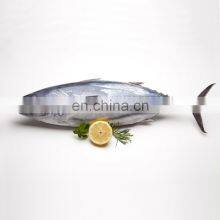Good Price Delicious Healthy Fish Vacuum Packaging Frozen Seafood IQF thumbnail-3