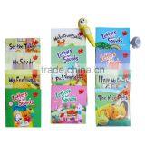 Reading Pen, Point Read Pen, Eduction Toys, Learning Machine (12 Books) thumbnail-2