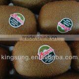 Safe Frozen Food Sticker OEM Manufacturer thumbnail-1