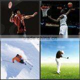 2015 Dongguan High Quality Crossfit Ankle Support for People