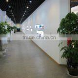 2015 Vogue Retro Lovely Spectacles thumbnail-6