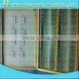 Students Learning Teacher Teaching Prepared Microscope Slides Box