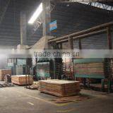 Linyi Jinxing Plywood Factory company overview - view 3 thumbnail