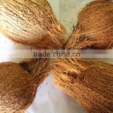 Indian Brown Natural Semi Husked Coconut