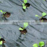 Cheap Garden PE Protective Mulch Film thumbnail-3