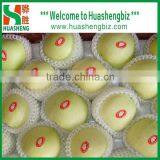 2016 Chinese Golden Delicious Fresh Apple With Best Quality thumbnail-2