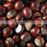 2015 New Crop Fresh Raw Chestnuts thumbnail-2