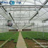 Greenhouse Seedling Nursery Bed thumbnail-1