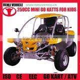 RENLI 4x4 Eec 250cc Buggy for Sale thumbnail-1
