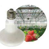 12W Strawberry Lights For Growing Plants Indoors thumbnail-1