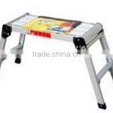 Ladder thumbnail-1