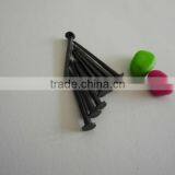 Round Head Shoe Nail thumbnail-3