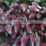 Packing Material Rose Bud EPE Net thumbnail-4