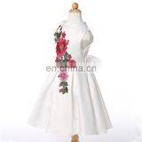 2016 Frozen Elsa Girl Party Dress , The New Children Dress Roses New Embroidery Upscale Princess DressA29161 thumbnail-6